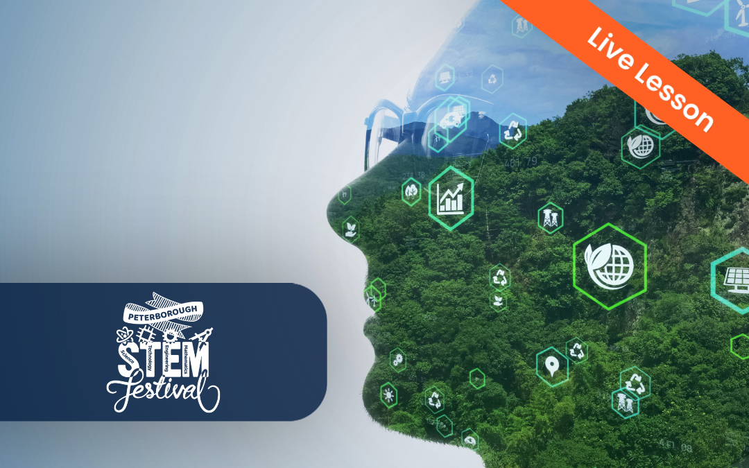 AI for Sustainability Lesson (Ages 7–11)